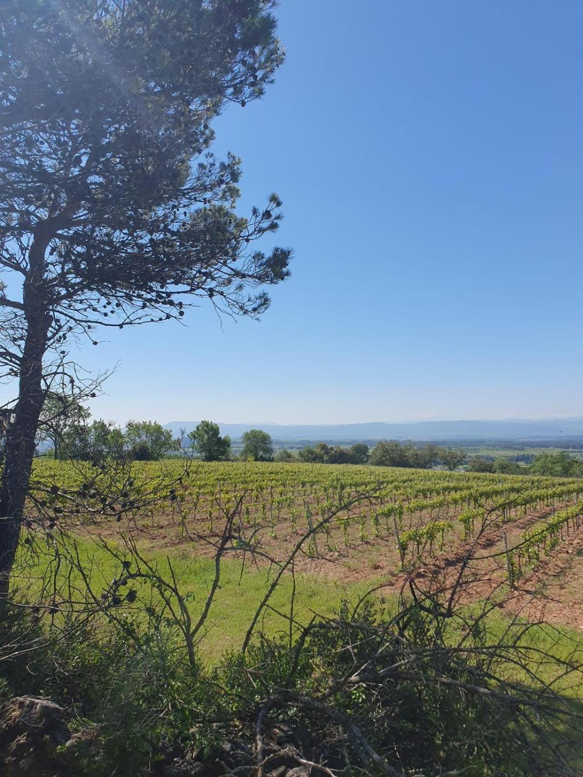 Maison De Charme Caunes-Minervois エクステリア 写真